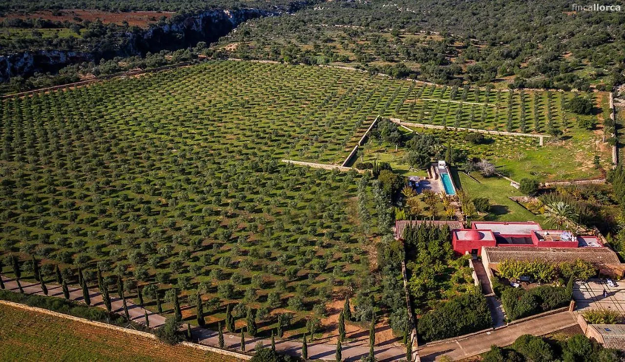 度假居 Finca Son Cifre Manacor